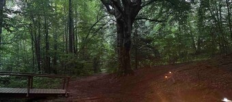 4 Seasons Glamping @ Alpine South