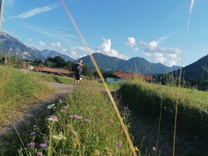 Overnatningsstedets område