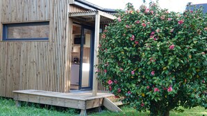 Un edificio de madera con un porche de madera y un arbusto con flores rosadas.