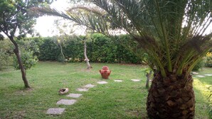 Een tuin met een palmboom, een decoratieve pot en een pad van stenen.