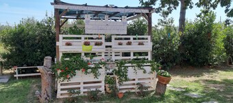 Romantico monolocale in casale 