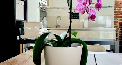 La Buschera, a tiny house in the city center