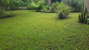 A well-maintained grassy area with various plants and a stone wall. - Tanzanin Eco Home & Camp (Arusha)