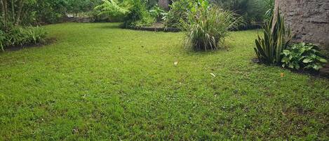 Taman