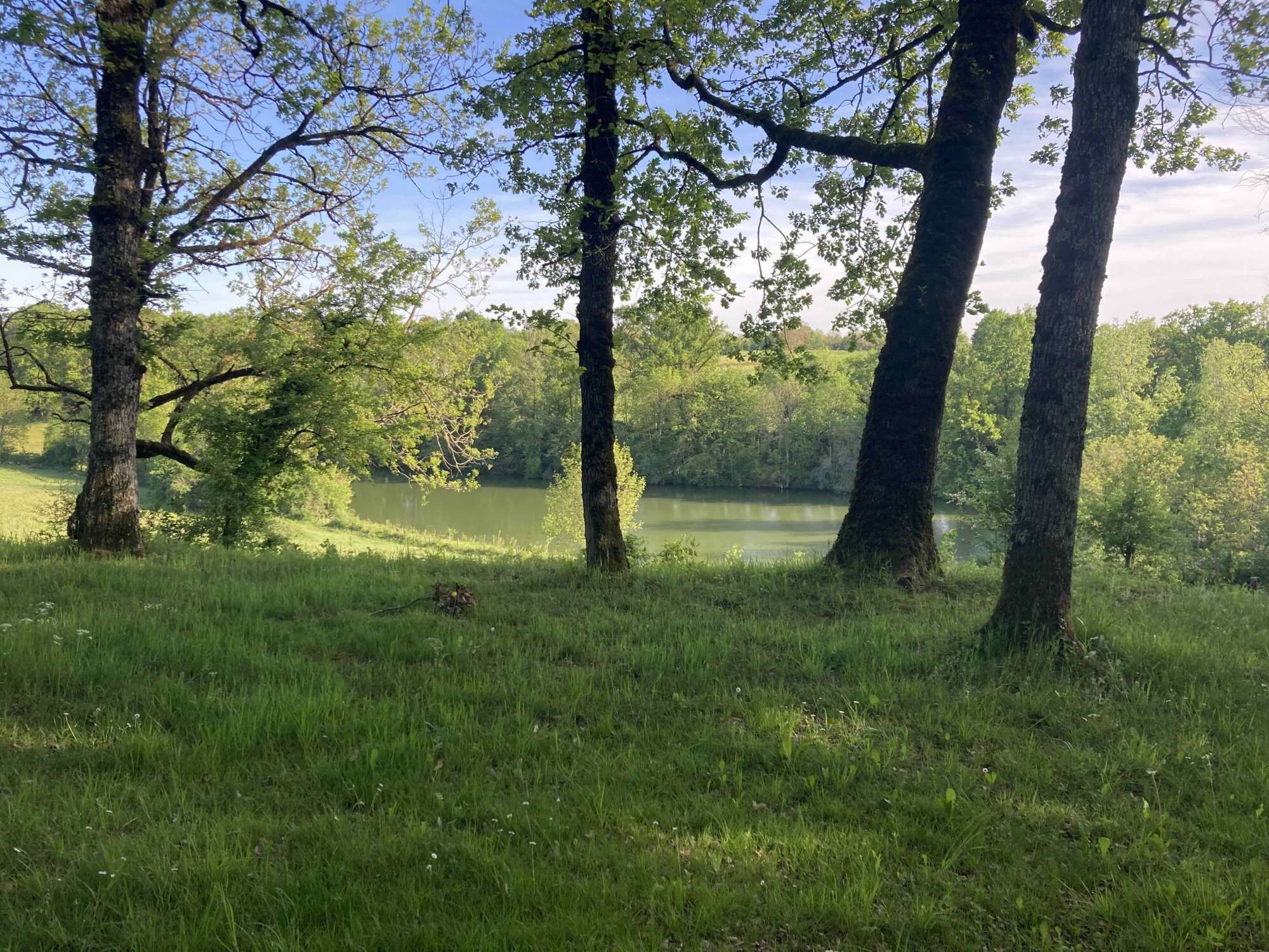 A natural landscape with a lake, trees, and grassy areas.