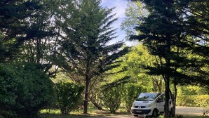 Un sendero de grava que conduce a un coche blanco estacionado bajo los árboles.