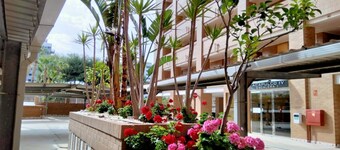 Welcome to this beautiful holiday flat in Marina d'Or! This is the place where your holiday dreams come true.Imagine waking up every morning to the gentle murmur of the sea waves right outside your window. This three-bedroom flat is located on the beachf