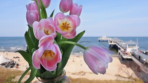 A bouquet of pink tulips in a clear glass vase with a beach and ocean view in the background. - Vacation apartment with 1 bedroom and balcony facing the lake (Seebad Heringsdorf)