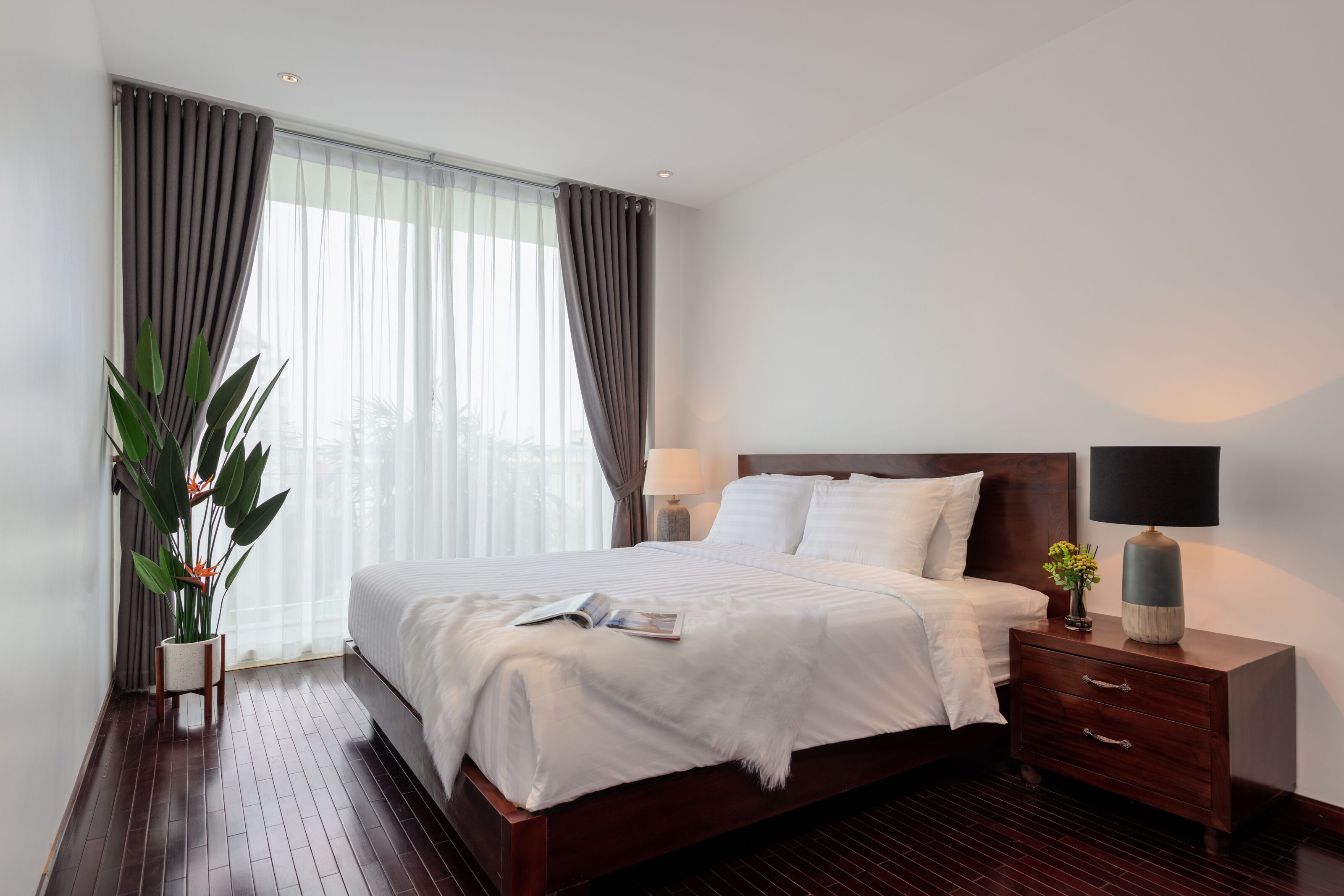 A modern hotel bedroom with a large bed, a bedside table with a lamp, and a potted plant.