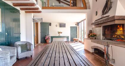 Villa with swimming pool surrounded by greenery