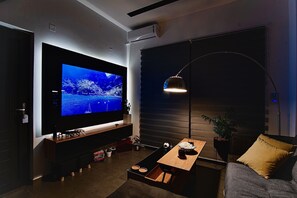 Smart TV, fireplace, books, music library