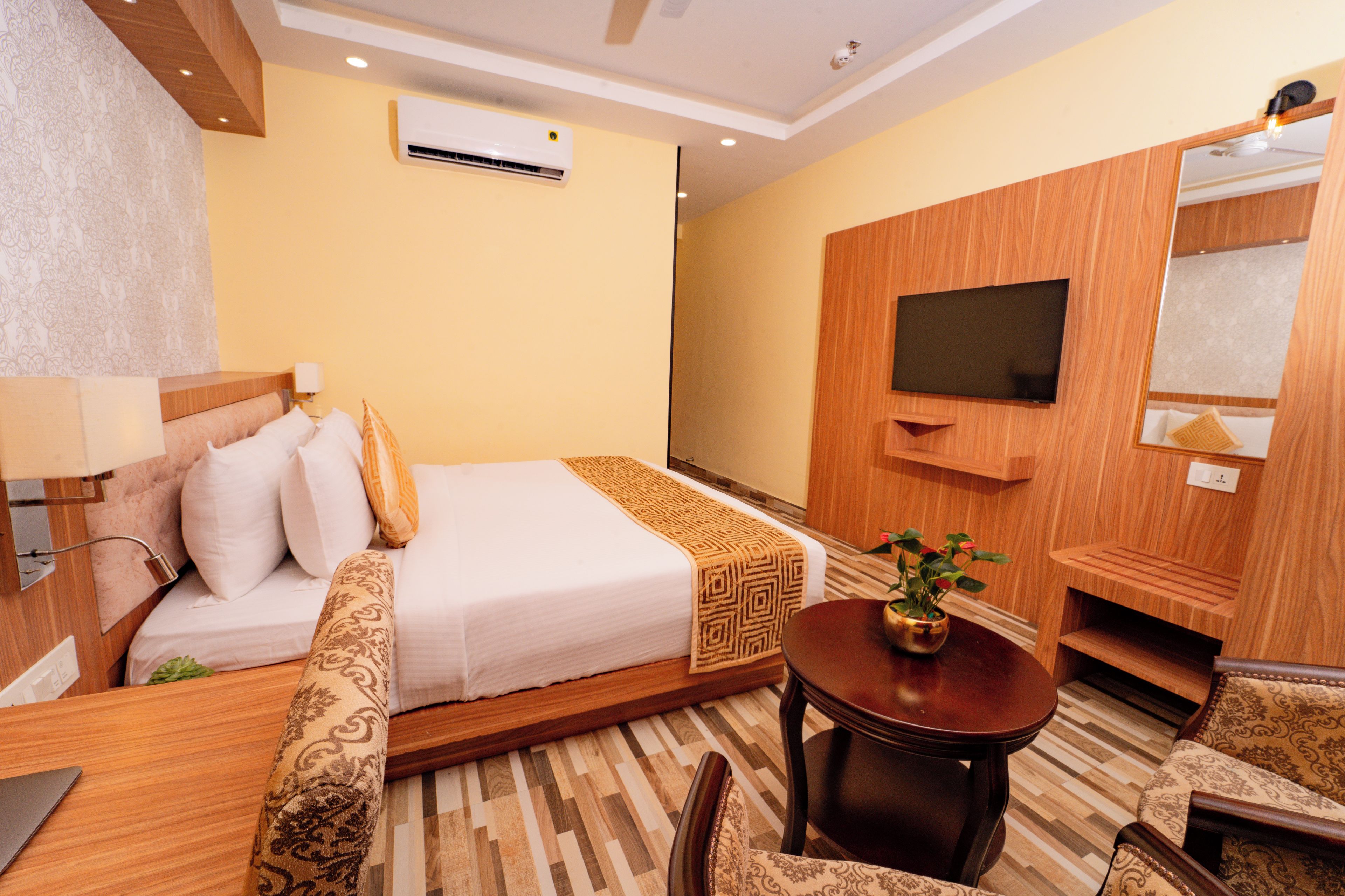 A hotel room with a bed, bedside table, TV, and a small plant.