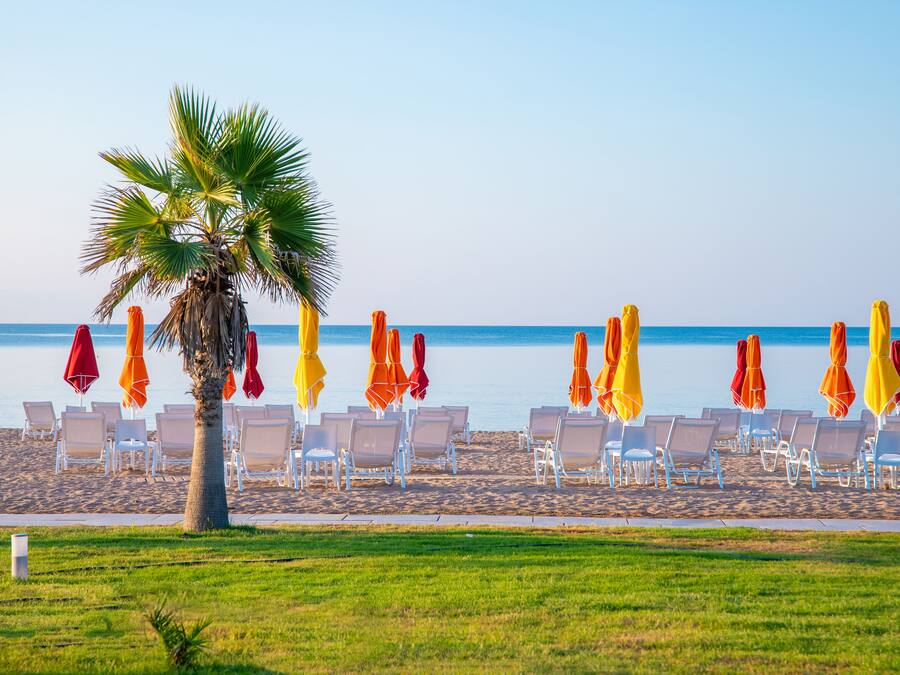 Plage, chaises longues, parasols, bar de plage