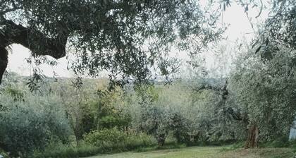 Villa 3 bedrooms two bathrooms large living room with Full-optional kitchen and BBQ