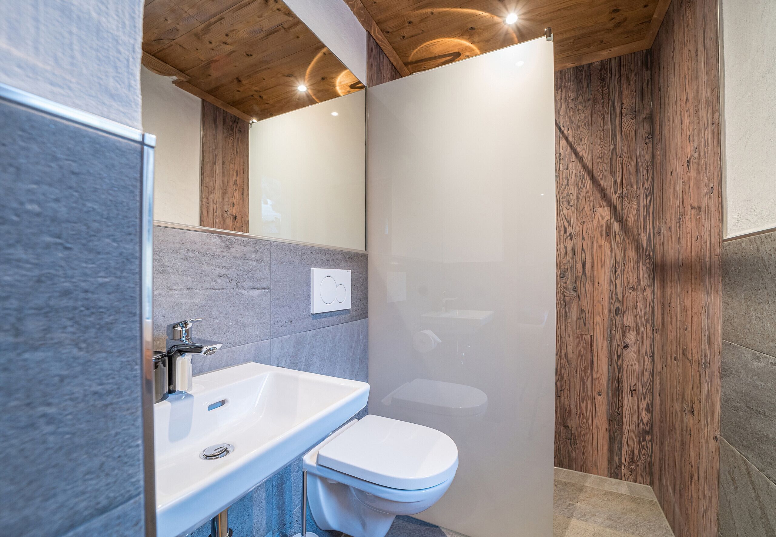 Shower, hair dryer, toilet paper