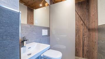 Shower, hair dryer, toilet paper