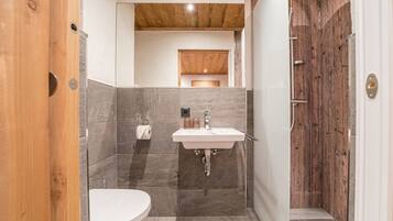 Dusche, Haartrockner, Toilettenpapier