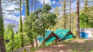 A rustic cabin with a green roof nestled in a forested area with tall trees and a clear sky.