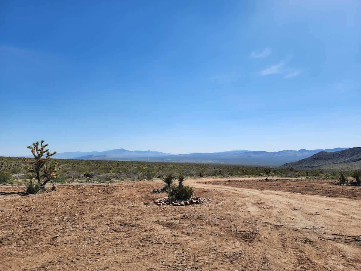 Un paysage désertique avec une végétation clairsemée et un chemin de terre.