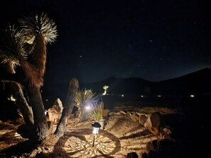 Un paysage désertique nocturne avec des plantes illuminées et un lampadaire.