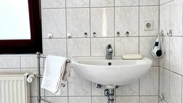 Shower, hair dryer, toilet paper