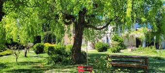 The countryside in the city center, swimming pool, large garden, quiet.