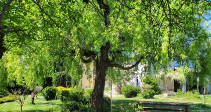 La campagne en centre ville, piscine, grand jardin, calme