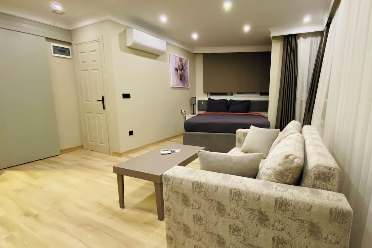 A hotel room with a bed, a sofa, a coffee table, an air conditioning unit, and a door.