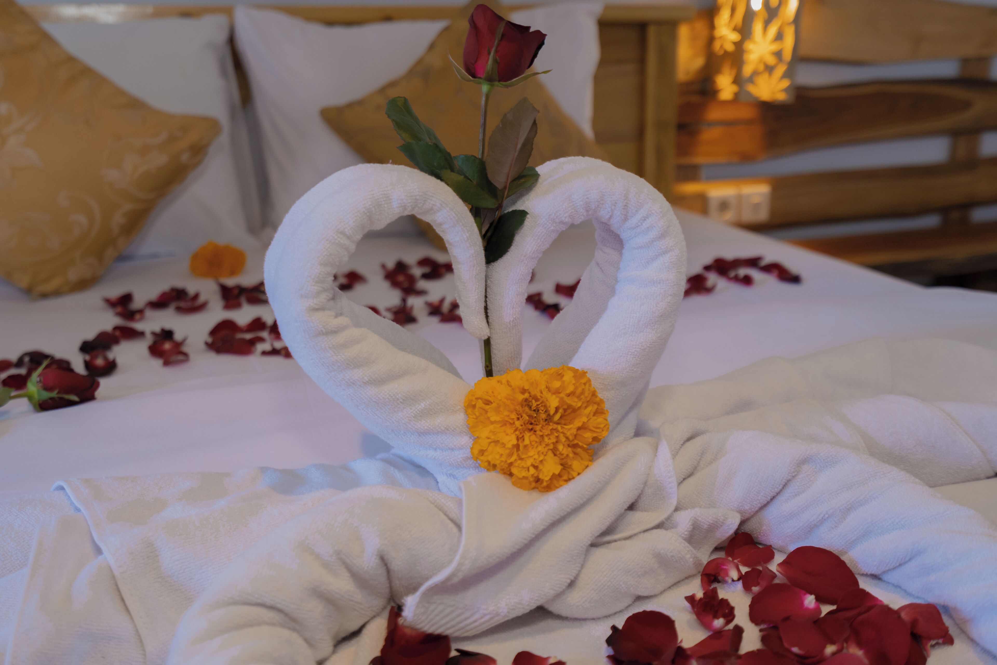 A bed with a heart-shaped towel arrangement, a rose, and scattered rose petals.