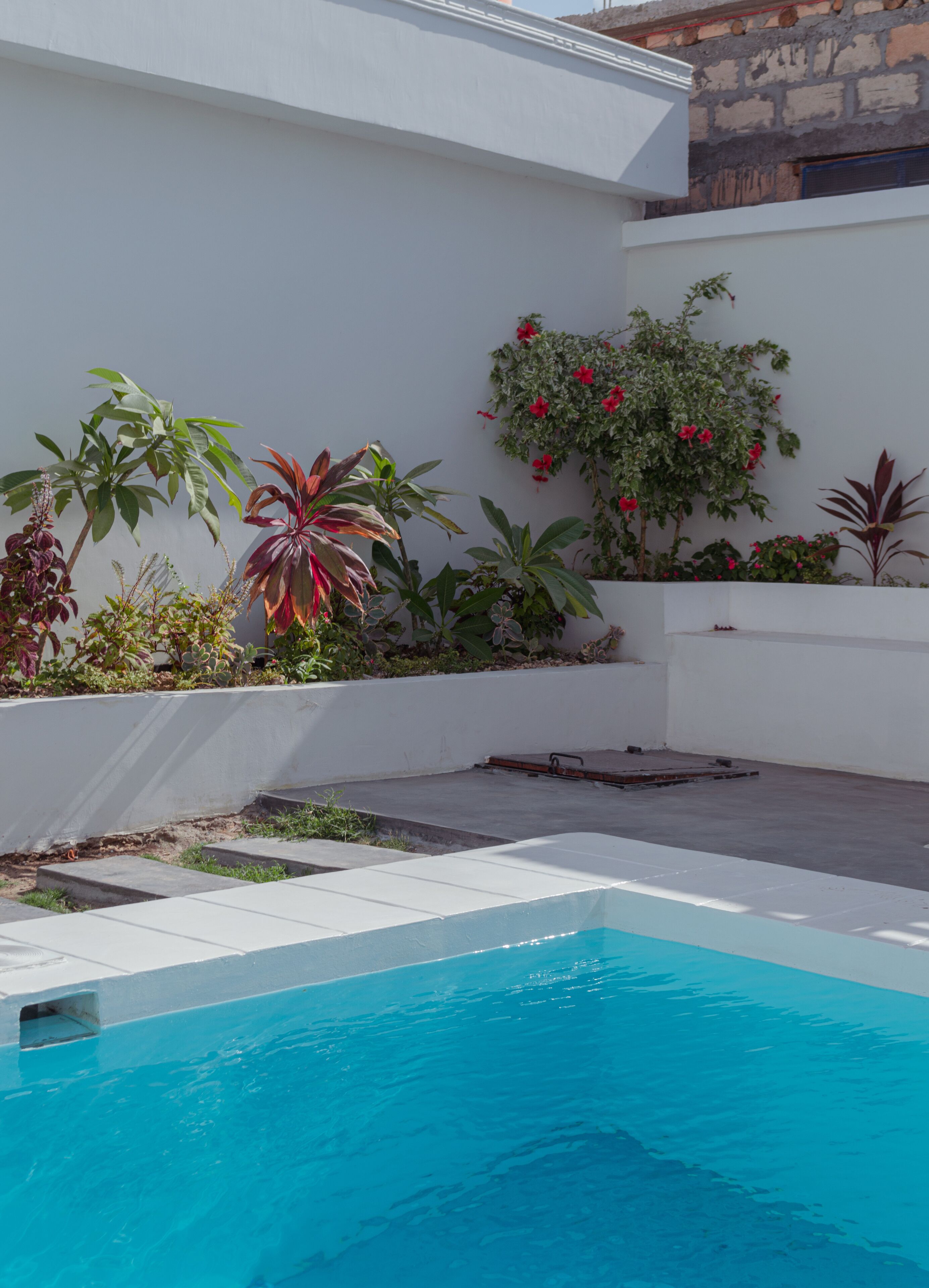 Ein Schwimmbecken mit weißer Liegefläche, umgeben von verschiedenen Pflanzen und Blumen.