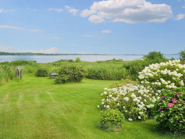 A grassy area with a path leading to a body of water, surrounded by lush greenery and flowering plants.