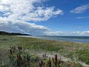 A coastal landscape with a grassy foreground, a sandy beach, and a view of the sea under a partly cloudy sky. - 6 Person Holiday Home in Jaegerspris (Jægerspris)