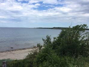 Une plage avec de l’eau, des arbres et une côte visible au loin.