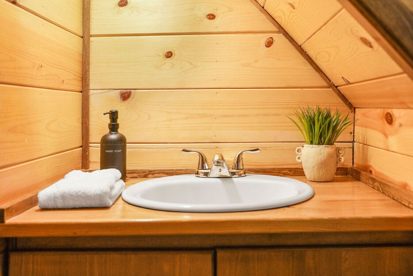 Een badkamer in chaletstijl met houten accenten, een witte wastafel, een zeepdispenser, een handdoek en een potplant.