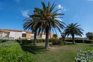 Surrounded by lush palm trees and beautifully manicured hedges, this outdoor space offers a serene escape.