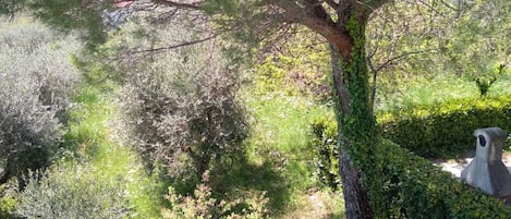 Terrain de lâhĂ©bergement