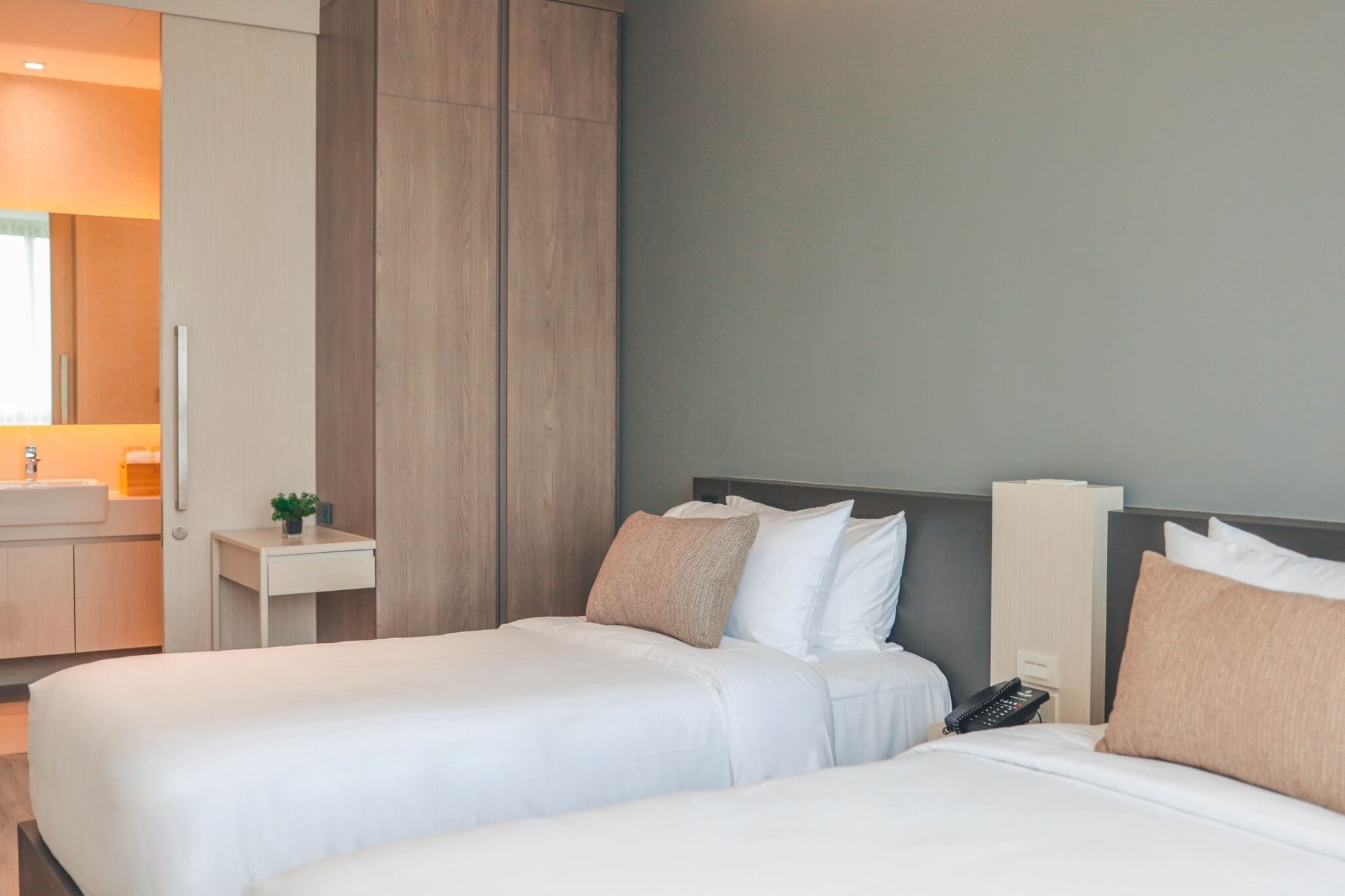 A hotel room with two beds, a bedside table with a phone, and a small plant.