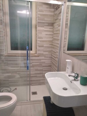 Shower, hair dryer, bidet, towels