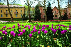 Overnattingsstedets uteområder