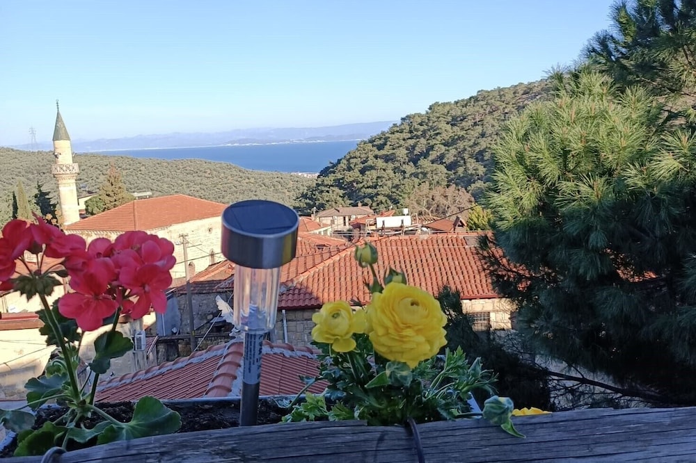 Sardunya Konak
