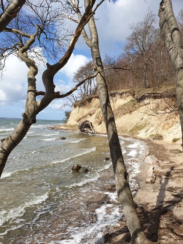 Gemütlich und günstig nach Rügen. Cosy and affortable