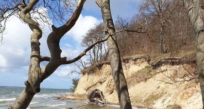 Gemütlich und günstig nach Rügen. Cosy and affortable