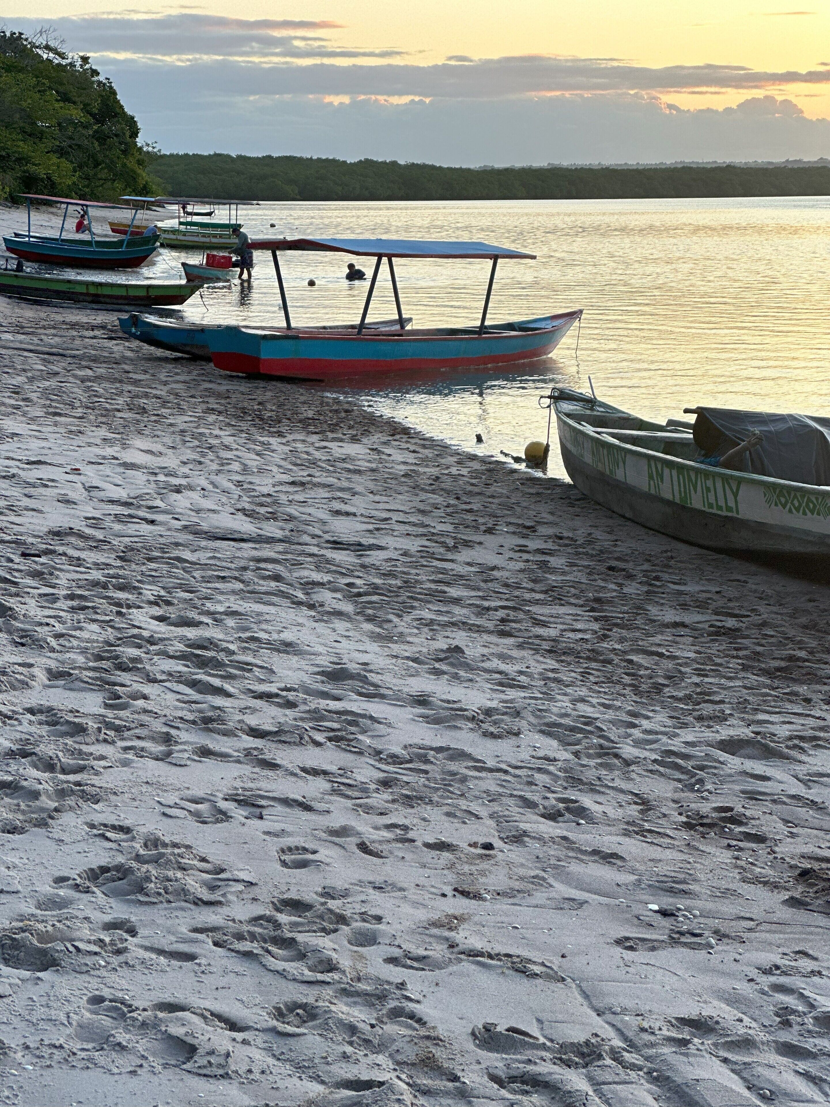 A beach with several boats anchored near the shore.