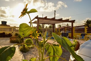 Garden - Pousada dos Sonhos (Rio Tinto)