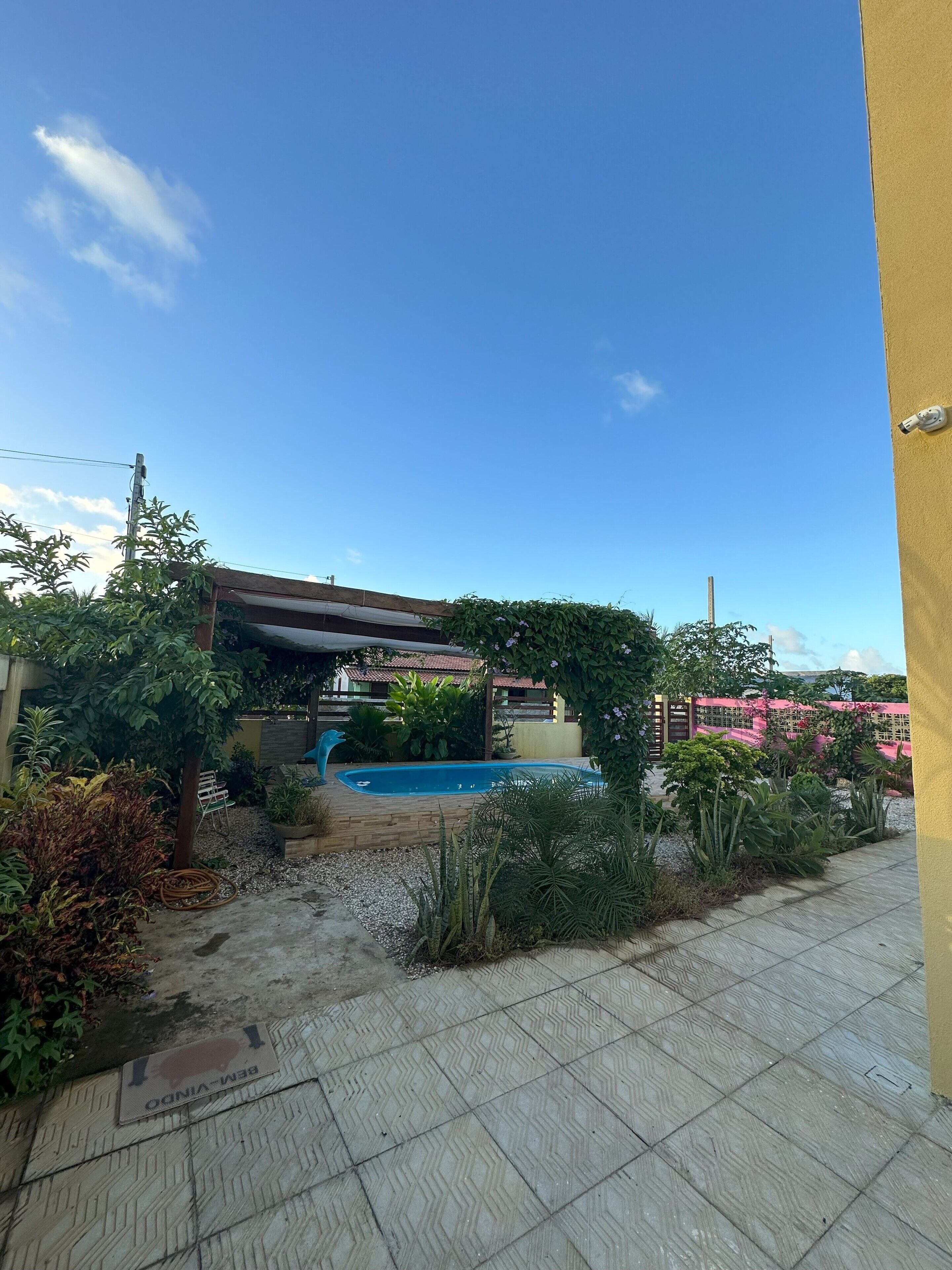 A backyard with a swimming pool, surrounded by various plants and a wooden deck.