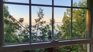 A window with a view of trees and a body of water.