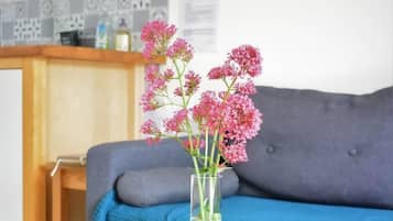 TV, fireplace, DVD player