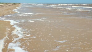 A beach with wide sandy shores and gentle waves.