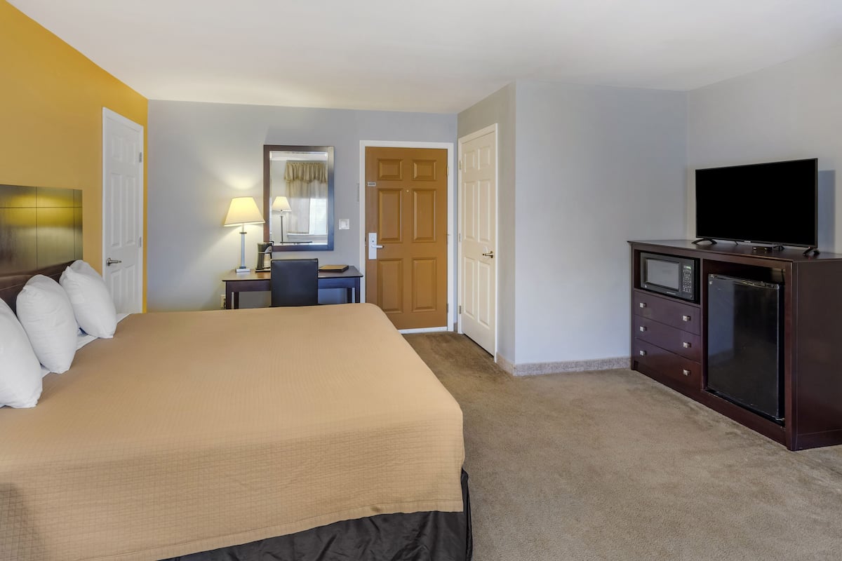 Quarto de hotel com uma cama, uma escrivaninha, uma televisão e um guarda-roupa.