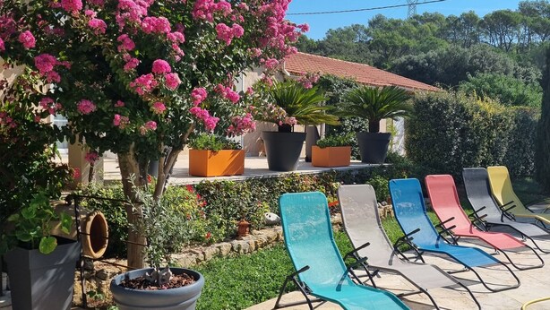 Un espace patio agrémenté d’une rangée de chaises longues colorées et d’un grand arbre en fleurs.